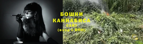 шишки Абаза