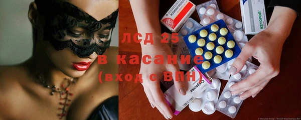 шишки Абаза