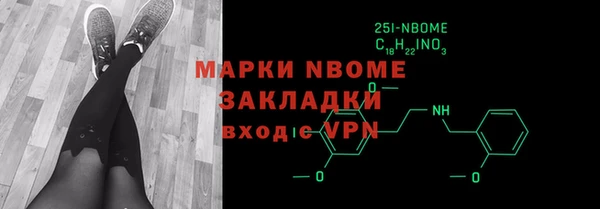 шишки Абаза
