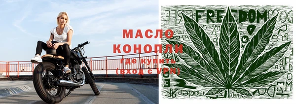шишки Абаза