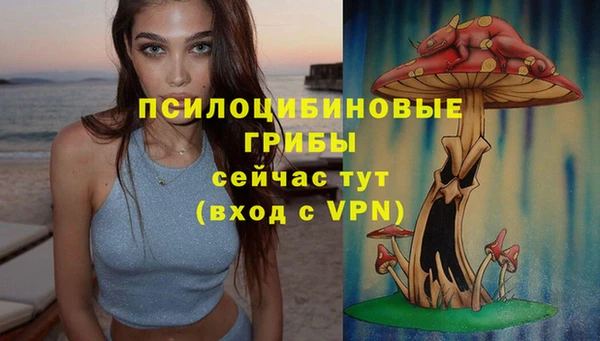 дмт Алзамай