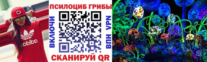 где можно купить   Емва  Галлюциногенные грибы мицелий 